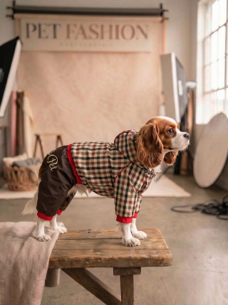       Дождевик "Pet Fashion"